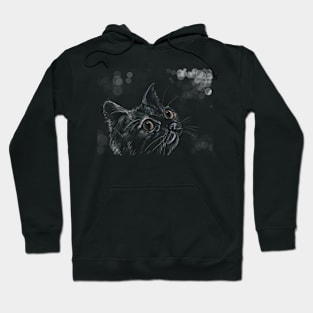 Cat and light Hoodie